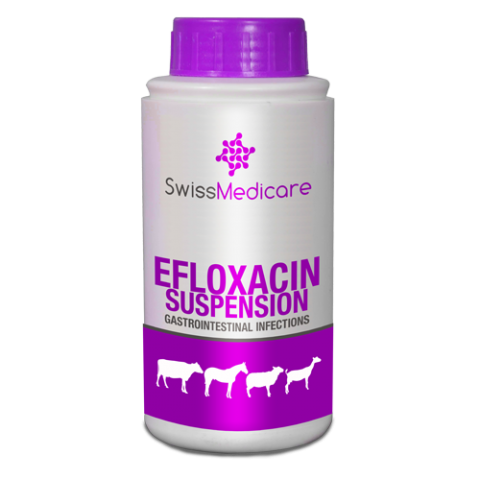 EFLOXACIN SUSPENSION