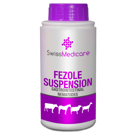 FEZOLE SUSPENSION