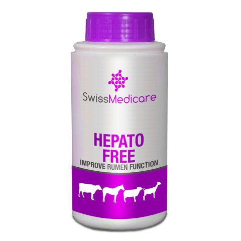 HEPATO FREE 