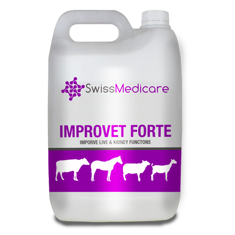 IMPROVET FORTE (LIQUID) 