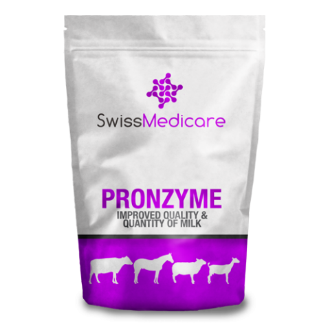 PRONZYME