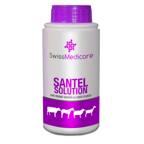 SANTEL SOLUTION