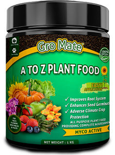 All Purpose Plant Food organic fertilzer