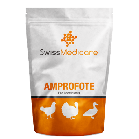 AMPROFOTE