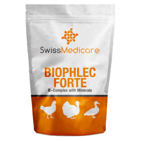 BIOPHLEC FORTE 