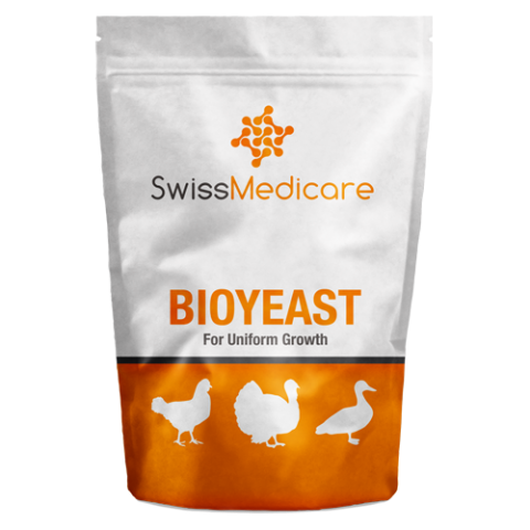 BIOYEAST