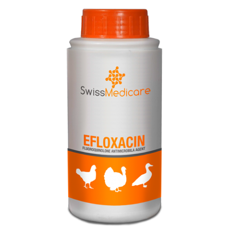 EFLOXACIN