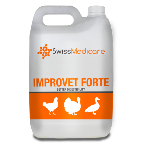 IMPROVET FORTE (LIQUID) 