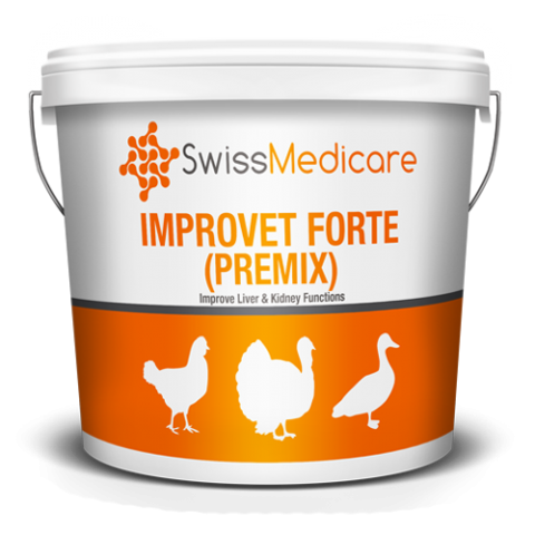 IMPROVET FORTE (PREMIX) 