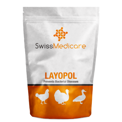 LAYOPOL