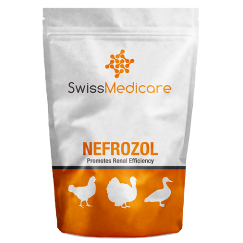 NEFROZOL