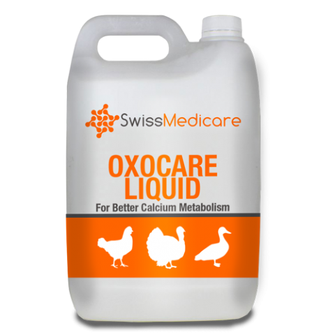 OXOCARE LIQUID